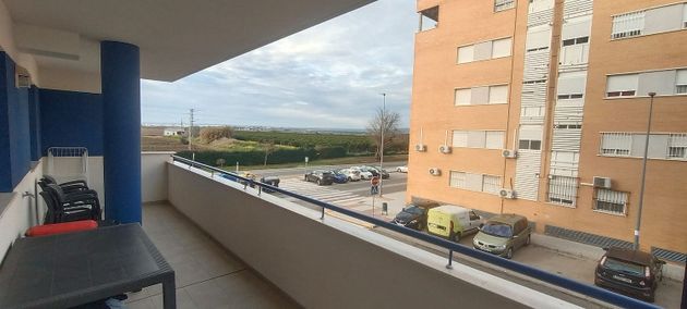 Foto 2 de Pis en venda a calle Alcalde Manuel Ardoy de 3 habitacions amb terrassa i piscina