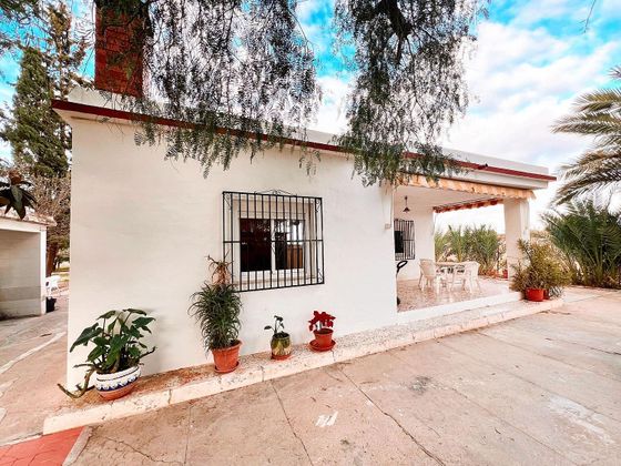 Foto 1 de Casa rural en venda a La Algoda - Matola - El Pla de 3 habitacions amb terrassa i jardí