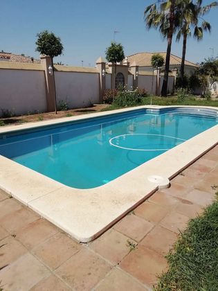Foto 1 de Xalet en lloguer a Sanlúcar la Mayor de 4 habitacions amb piscina i jardí