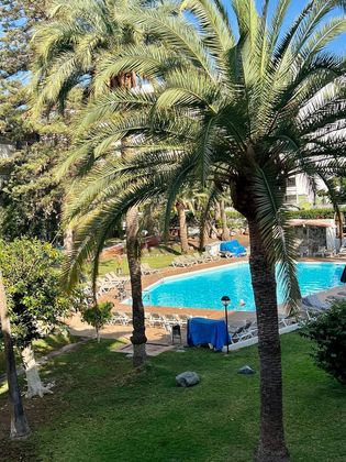 Foto 1 de Piso en venta en Playa del Inglés de 1 habitación con terraza y piscina