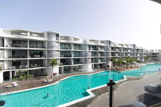 Foto 1 de Pis en lloguer a Palm - Mar de 2 habitacions amb terrassa i piscina