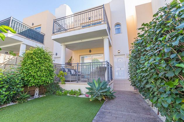 Foto 1 de Casa en lloguer a Palm - Mar de 2 habitacions amb terrassa i piscina