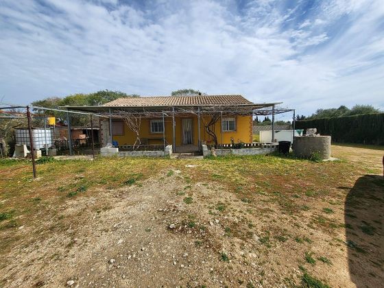 Foto 2 de Casa rural en venda a Medina-Sidonia de 2 habitacions amb terrassa i jardí