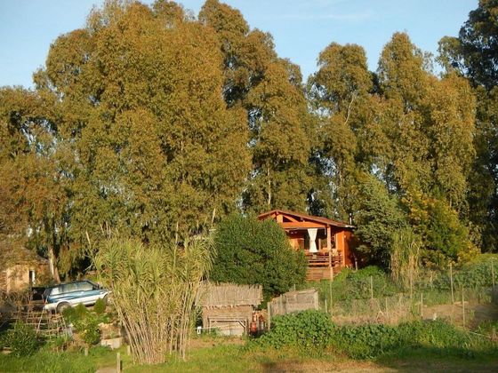 Foto 1 de Casa rural en venda a Medina-Sidonia de 4 habitacions amb terrassa i jardí