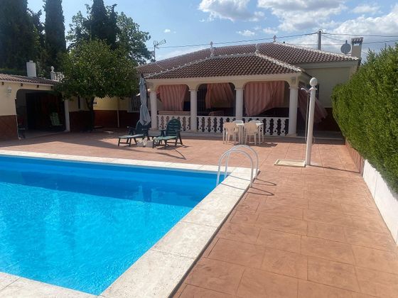 Foto 1 de Chalet en venta en Lucena de 4 habitaciones con terraza y piscina