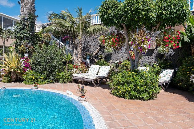 Foto 2 de Xalet en venda a El Médano de 15 habitacions amb terrassa i piscina