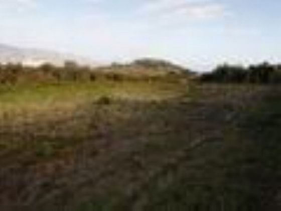 Foto 2 de Venta de terreno en La Esperanza-Llano del Moro de 9744 m²