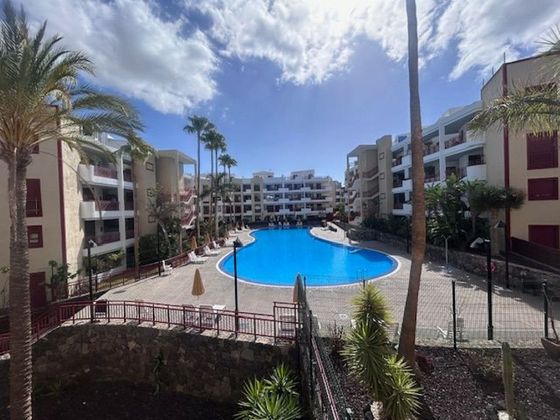 Foto 1 de Alquiler de piso en avenida El Palmmar de 1 habitación con terraza y piscina