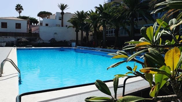 Foto 1 de Piso en venta en Las Caletillas-Punta Larga de 1 habitación con piscina y jardín