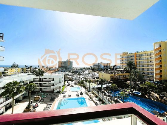 Foto 1 de Piso en venta en Playa del Inglés de 1 habitación con piscina y jardín
