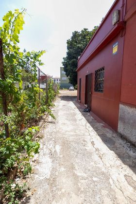 Foto 2 de Casa en venda a San Cristóbal de La Laguna - La Vega - San Lázaro de 3 habitacions amb jardí