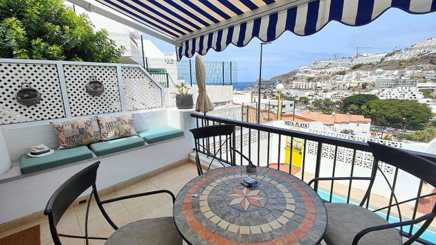 Foto 1 de Piso en alquiler en Puerto Rico de 1 habitación con terraza y piscina