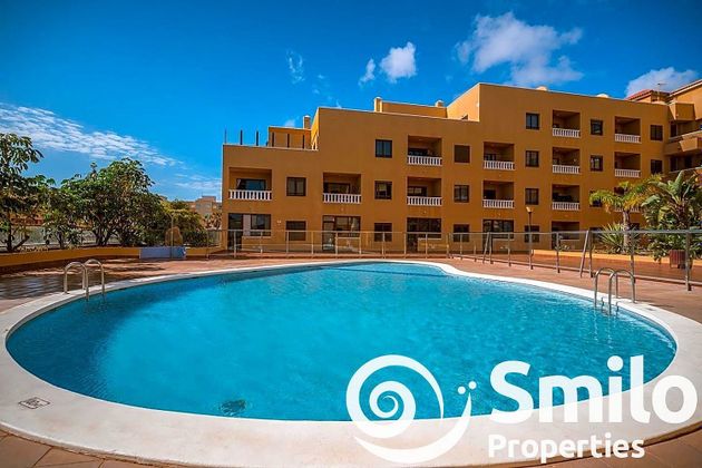 Foto 1 de Venta de piso en El Médano de 2 habitaciones con terraza y piscina