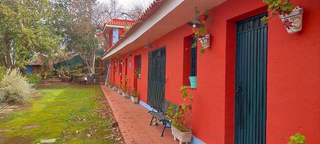 Foto 1 de Casa rural en venda a Orotava (La) de 3 habitacions amb jardí