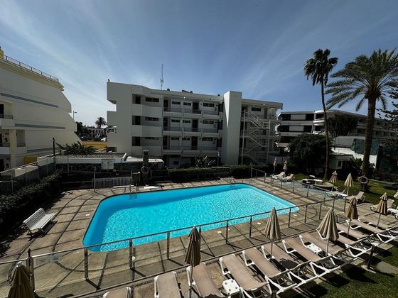 Foto 1 de Pis en venda a Playa del Inglés de 1 habitació amb terrassa i piscina