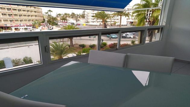 Foto 2 de Pis en venda a Playa del Inglés de 1 habitació amb terrassa i piscina