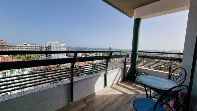 Foto 1 de Piso en venta en Playa del Inglés de 1 habitación con piscina y balcón