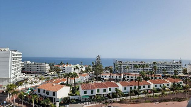 Foto 2 de Pis en venda a Playa del Inglés de 1 habitació amb piscina i balcó