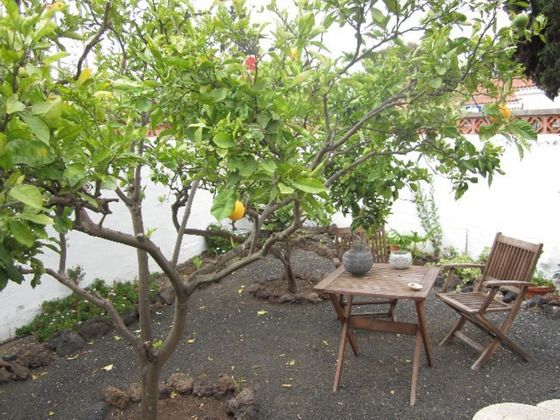 Foto 1 de Chalet en alquiler en carretera De Los Hoyos de 4 habitaciones con terraza y jardín