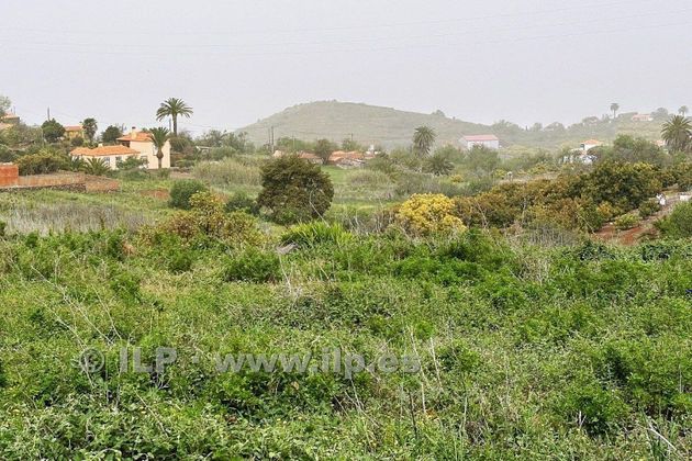 Foto 1 de Venta de terreno en Puntagorda de 2000 m²