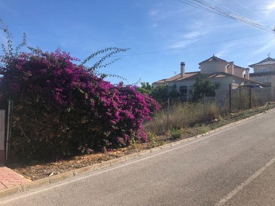 Foto 1 de Venta de terreno en Almoradí de 1090 m²