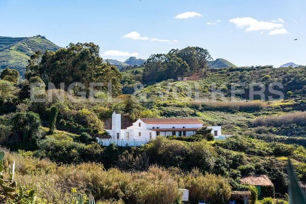 Foto 1 de Casa rural en venda a Santa María de Guía de 14 habitacions amb terrassa i jardí
