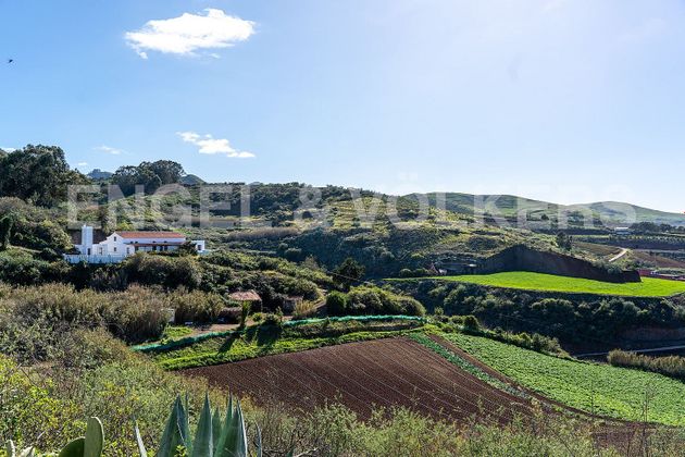 Foto 2 de Casa rural en venda a Santa María de Guía de 14 habitacions amb terrassa i jardí