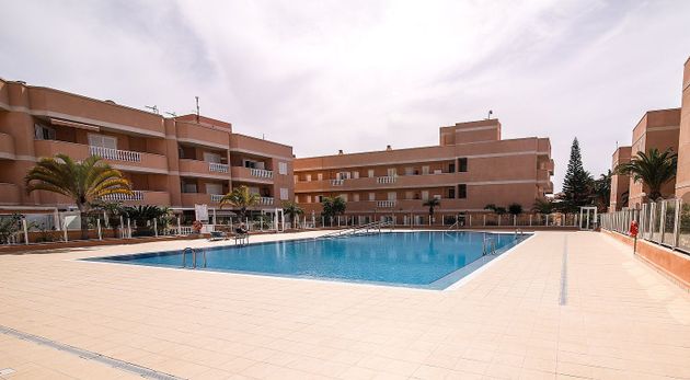 Foto 2 de Alquiler de piso en calle Minerva de 1 habitación con terraza y piscina