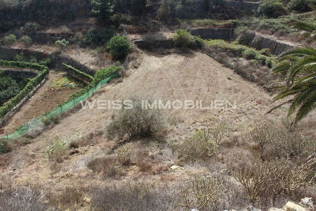 Foto 2 de Venta de terreno en Guancha (La) de 2780 m²