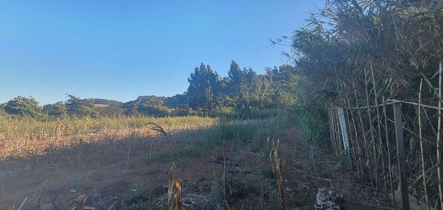 Foto 1 de Venta de terreno en La Esperanza-Llano del Moro de 2294 m²