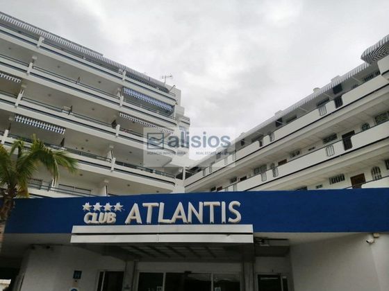 Foto 2 de Pis en lloguer a calle Puerto Colón de 1 habitació amb terrassa i piscina
