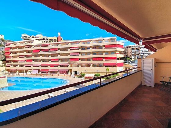 Foto 1 de Pis en lloguer a Puerto de Santiago de 1 habitació amb terrassa i piscina