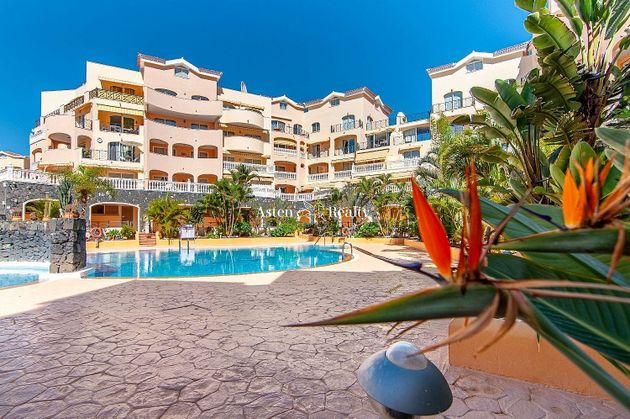 Foto 2 de Àtic en venda a Los Cristianos - Playa de las Américas de 2 habitacions amb terrassa i piscina