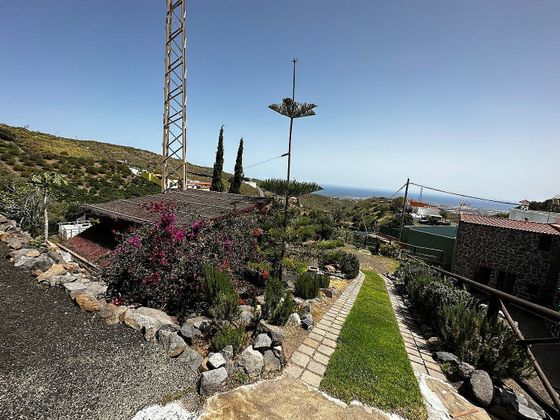 Foto 2 de Casa rural en venta en Caserones - La Higuera de 3 habitaciones con terraza y jardín
