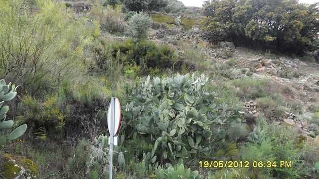 Foto 2 de Venta de terreno en Pereña de la Ribera de 210000 m²