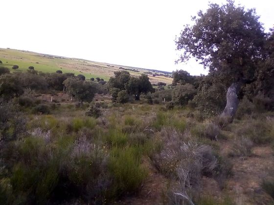 Foto 2 de Venta de terreno en Ledesma de 67000 m²