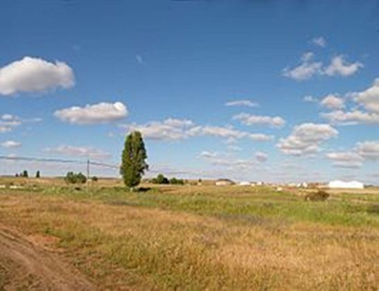 Foto 2 de Venta de terreno en Arapiles de 29000 m²