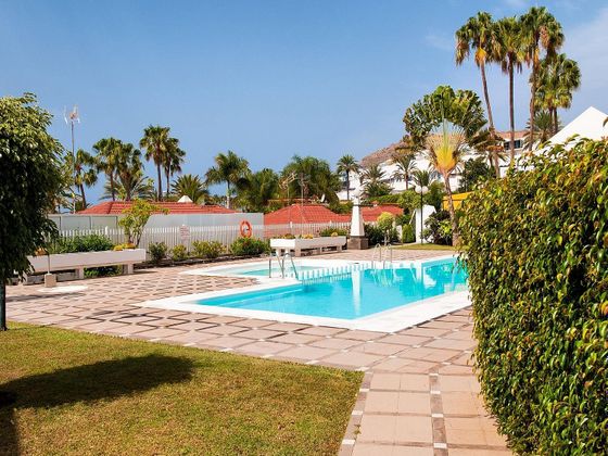 Foto 1 de Casa adossada en lloguer a Pasito Blanco de 2 habitacions amb terrassa i piscina