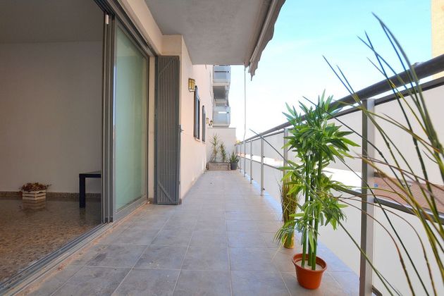 Foto 2 de Piso en venta en Sotolivar - Mas del Rosari de 3 habitaciones con terraza y garaje