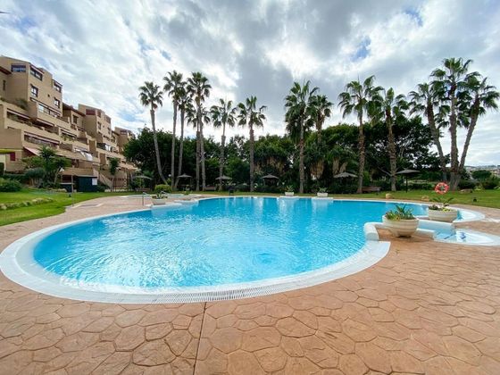 Foto 1 de Venta de piso en Alicante Golf de 1 habitación con terraza y piscina