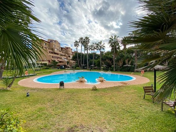 Foto 2 de Pis en venda a Alicante Golf de 1 habitació amb terrassa i piscina