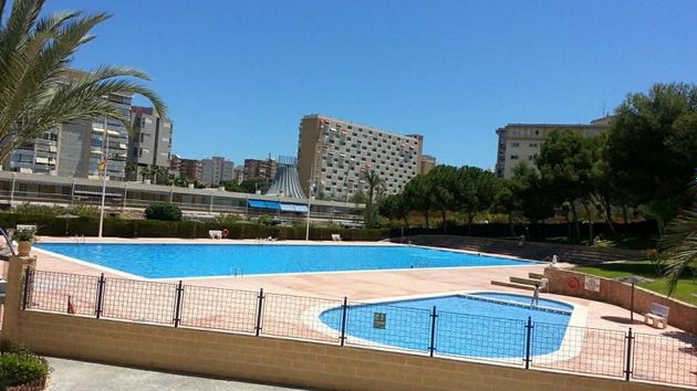 Foto 2 de Pis en venda a avenida Benidorm de 3 habitacions amb terrassa i piscina