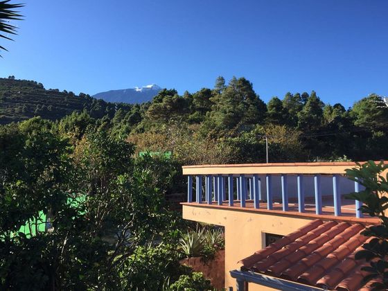 Foto 2 de Venta de chalet en Guancha (La) de 2 habitaciones con terraza y jardín