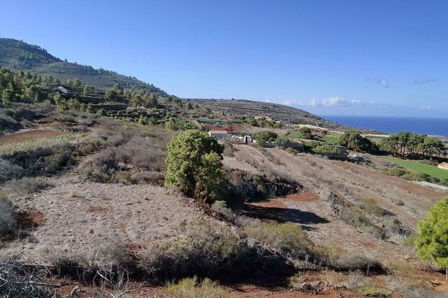 Foto 1 de Venta de terreno en Puntagorda de 13520 m²