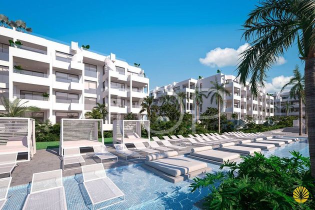 Foto 1 de Àtic en venda a Palm - Mar de 1 habitació amb terrassa i piscina