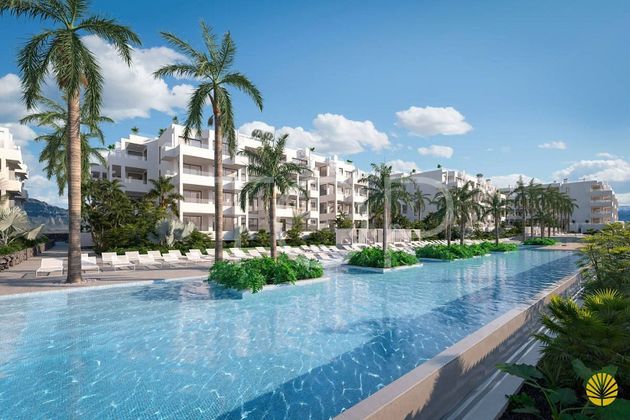 Foto 2 de Àtic en venda a Palm - Mar de 1 habitació amb terrassa i piscina