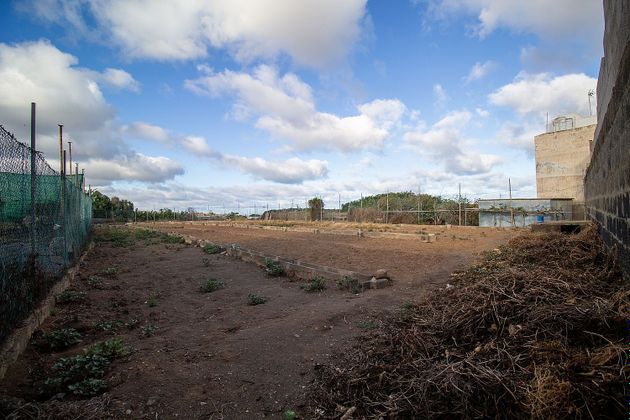 Foto 2 de Venta de terreno en Valle de los Nueve - El Ejido - Medianías de 1072 m²