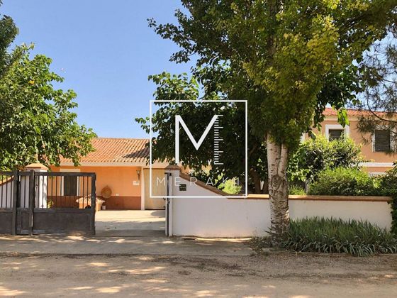 Foto 2 de Casa rural en venda a Hoya-Gonzalo de 8 habitacions amb piscina i jardí