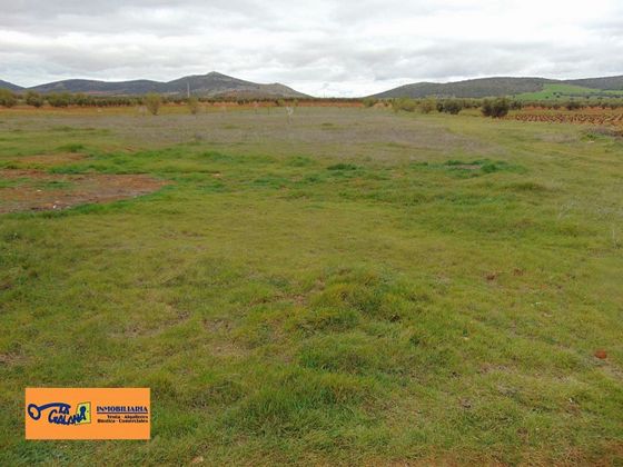 Foto 1 de Venta de terreno en San Carlos del Valle de 15000 m²
