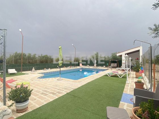 Foto 1 de Chalet en venta en Hellín de 7 habitaciones con terraza y piscina